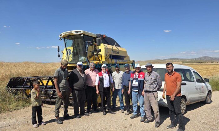 Sungurlu’da Hasat Sezonu Başladı