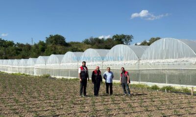 Tarım Uzmanları Sahaya İndi
