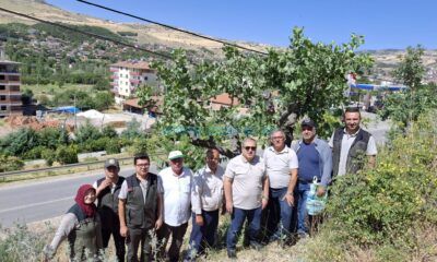 Bayat’ta Kırsal Kalkınma Hamlesi