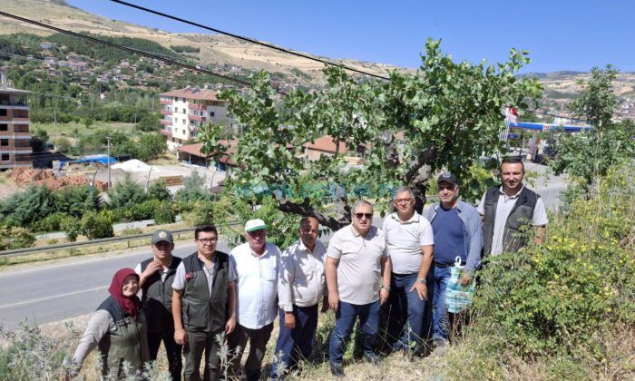 Bayat’ta Kırsal Kalkınma Hamlesi