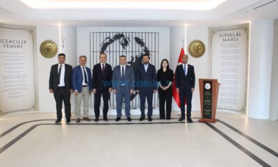 Sağlıkta İş Birliği Mesajı