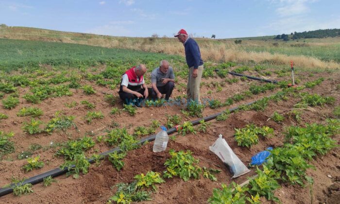 Tarımsal Veriler Dijital Ortamda Yerinde Doğrulanıyor