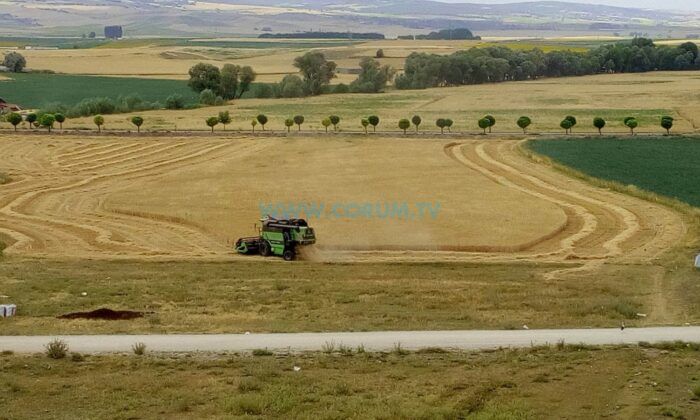 Üreticinin Emeğini Korumak İçin Kontroller