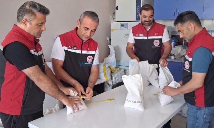 Çorum Çiftçisi İçin 25 Bin Ton Sertifikalı Tohum Hazırlanıyor