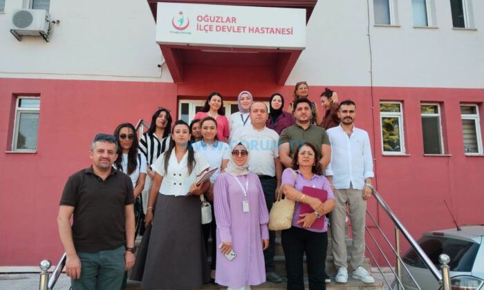 Hastanelerde Denetimler Başladı