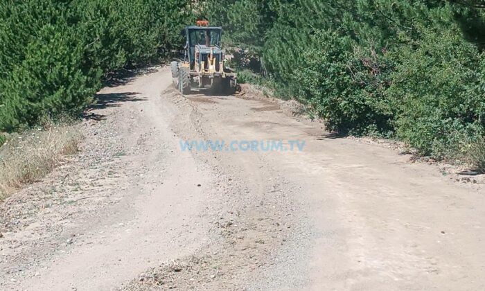 Oğuzlar’da Yayla ve Arazi Yollarında Çalışma