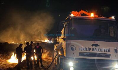 20 Dönüm Zarar Gördü, Başkandan Çağrı Var