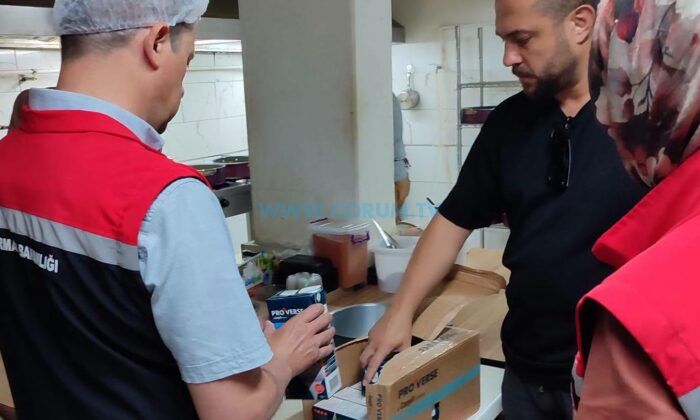 Ekipler ‘Güvenli Gıda’ İçin Sahada