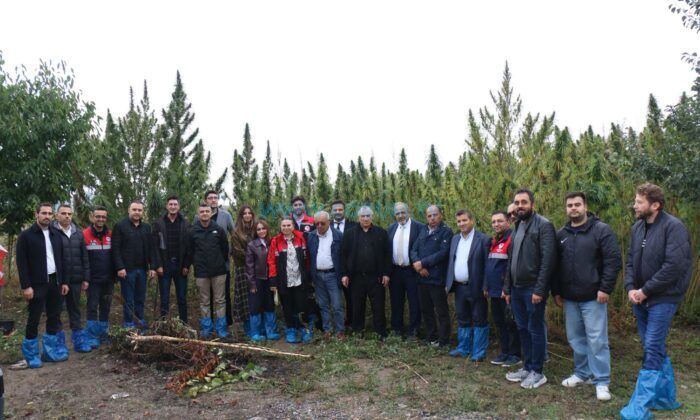 Kenevir İçin Uygulamalı Eğitim